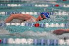 Swim vs Bentley  Wheaton College Swimming & Diving vs Bentley University. - Photo by Keith Nordstrom : Wheaton, Swimming & Diving